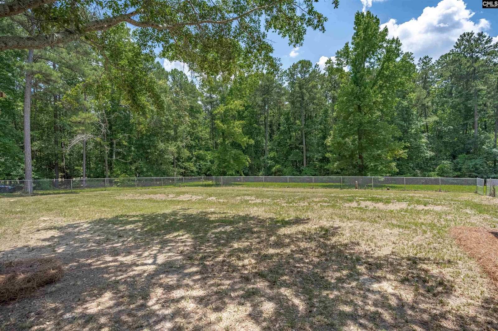 131 Mule, Gilbert, SC 29054