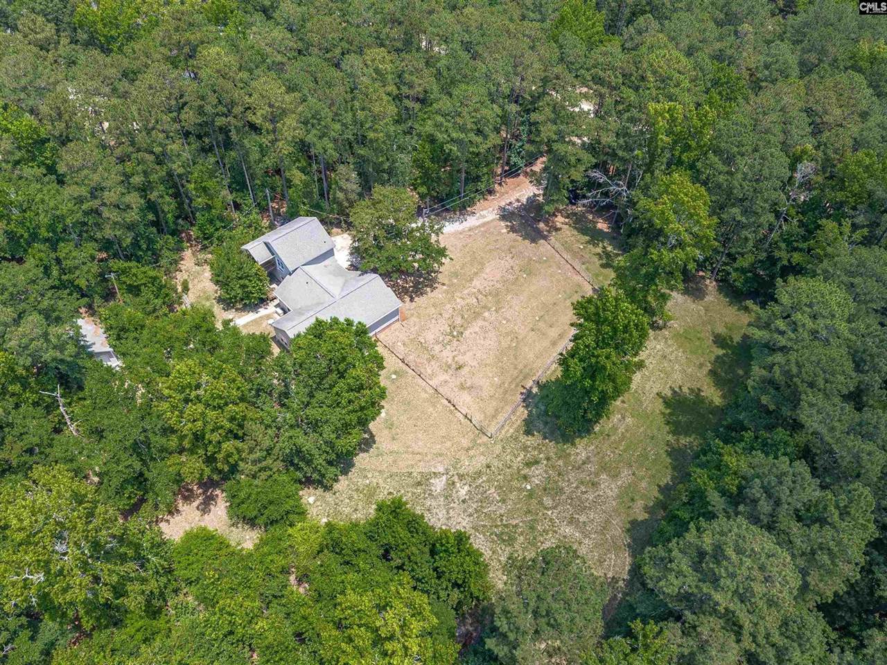 131 Mule, Gilbert, SC 29054