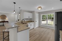 131 Mule, Gilbert, SC 29054