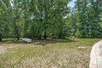 131 Mule, Gilbert, SC 29054