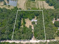 131 Mule, Gilbert, SC 29054