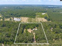 131 Mule, Gilbert, SC 29054