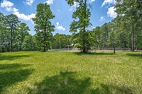 131 Mule, Gilbert, SC 29054