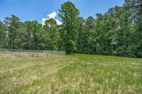 131 Mule, Gilbert, SC 29054
