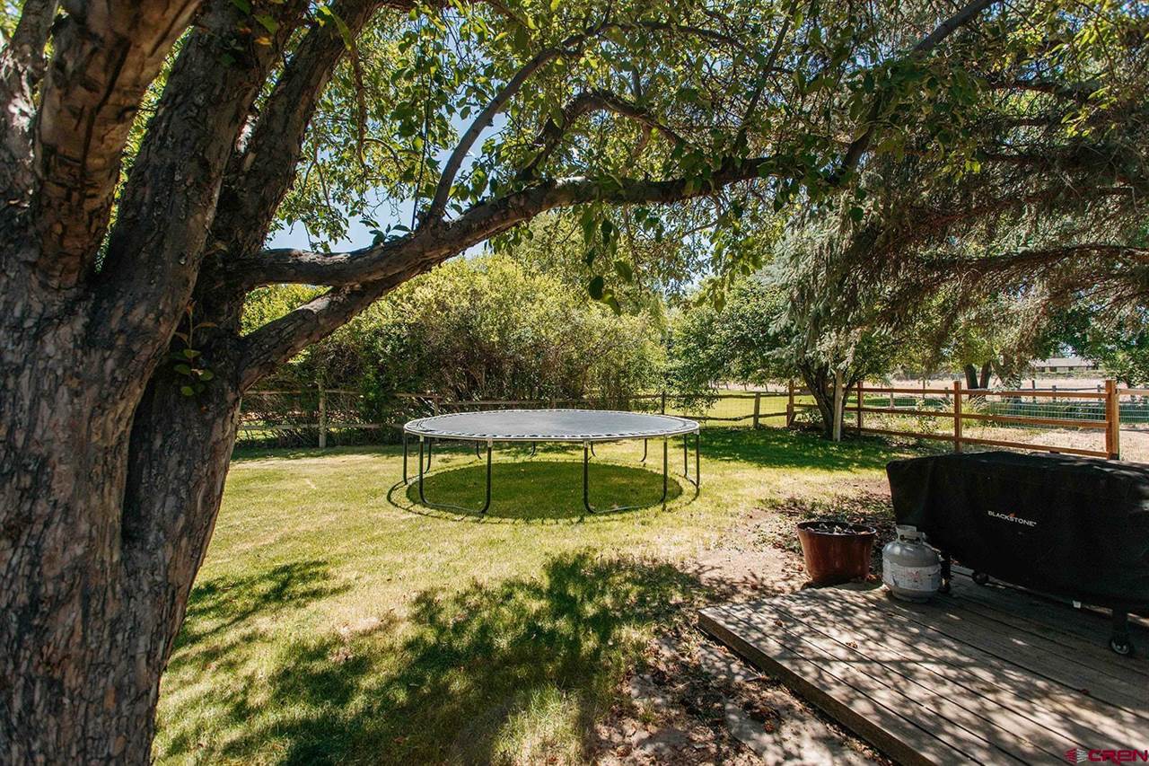 62224 Chu Chu Lane, Montrose, CO 81403