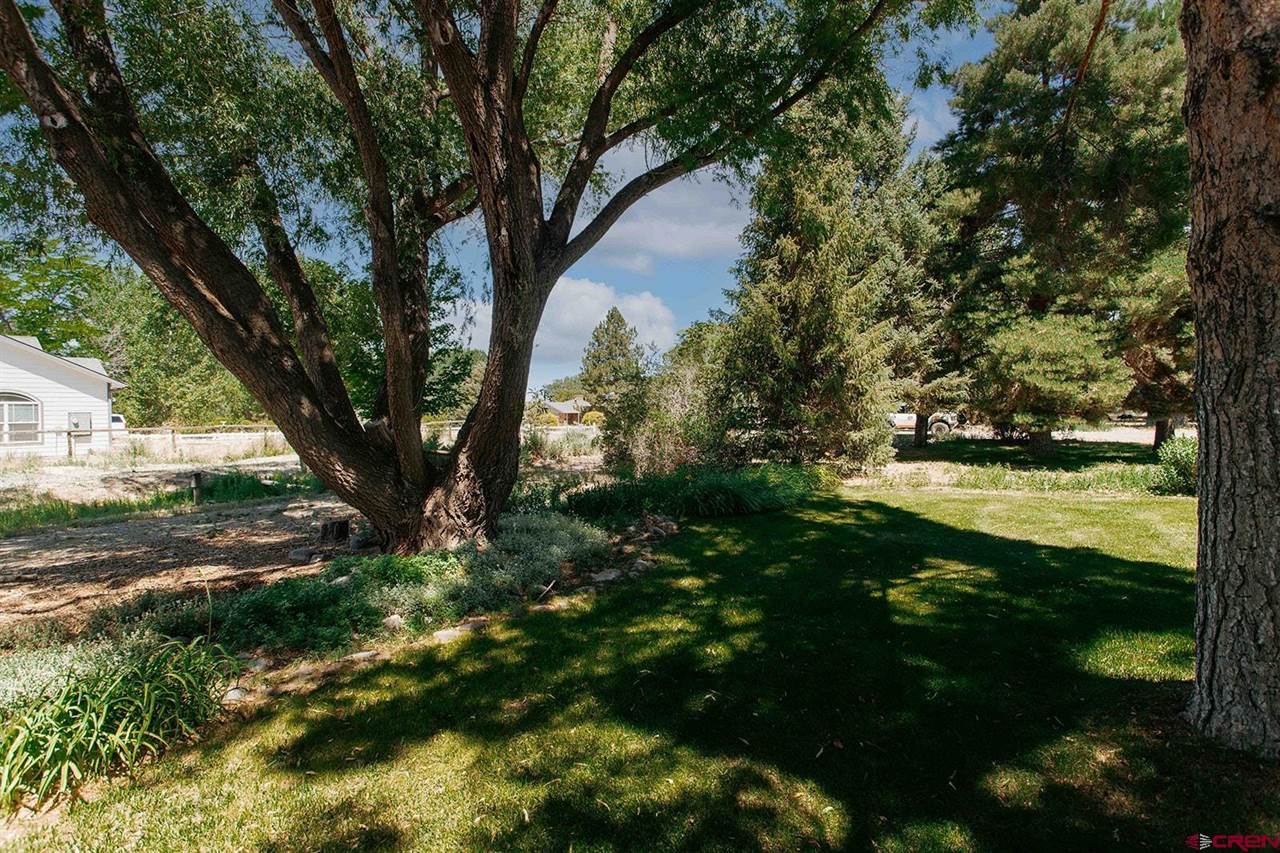 62224 Chu Chu Lane, Montrose, CO 81403