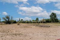 62224 Chu Chu Lane, Montrose, CO 81403