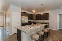 1423 Blue Creek Avenue, Montrose, CO 81401