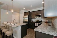 1423 Blue Creek Avenue, Montrose, CO 81401