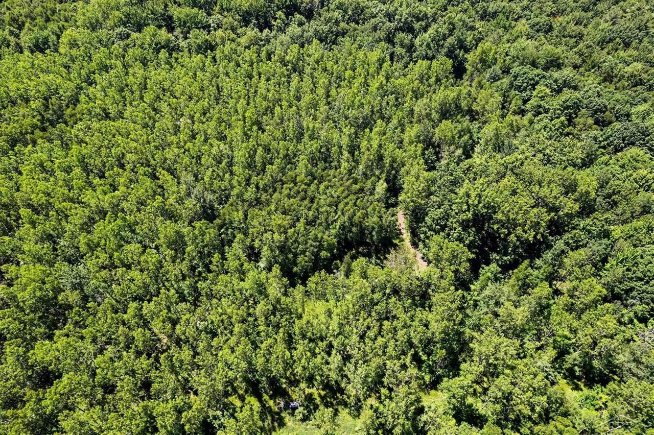 S Fenmore Road, Merrill, MI 48637