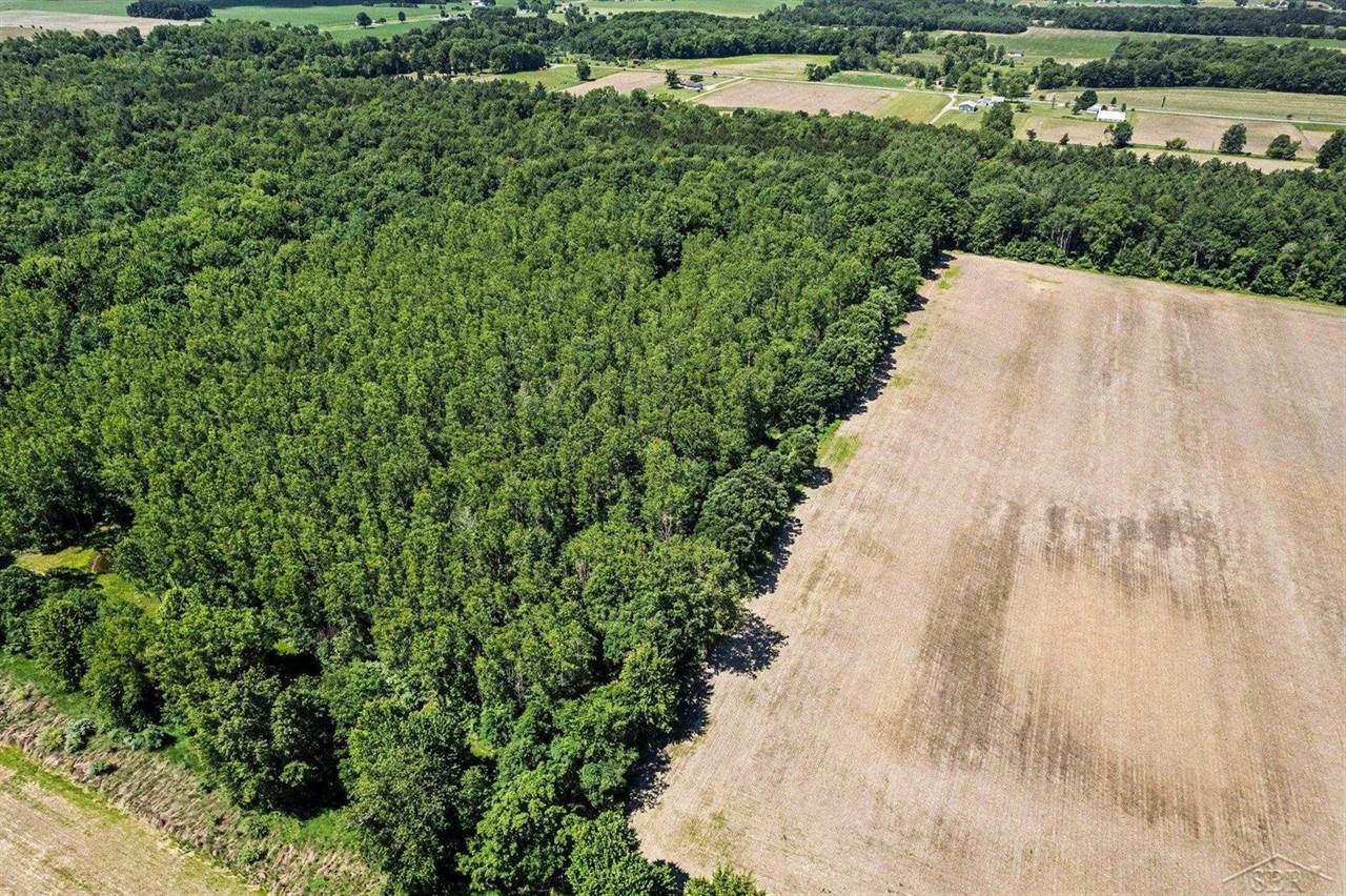 S Fenmore Road, Merrill, MI 48637