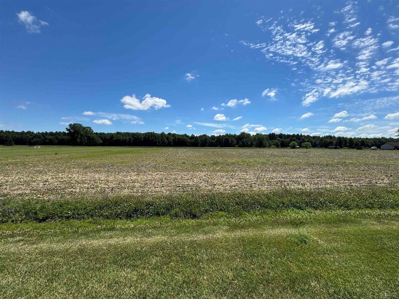 S Fenmore Road, Merrill, MI 48637