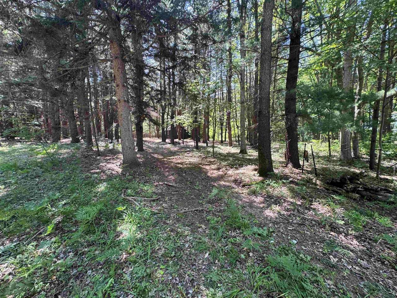 S Fenmore Road, Merrill, MI 48637