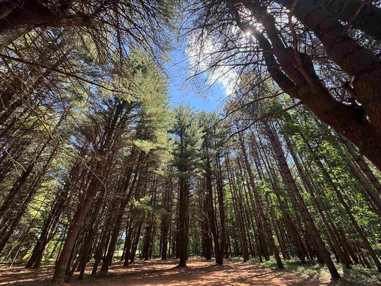 S Fenmore Road, Merrill, MI 48637