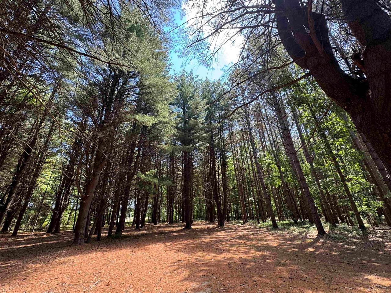 S Fenmore Road, Merrill, MI 48637