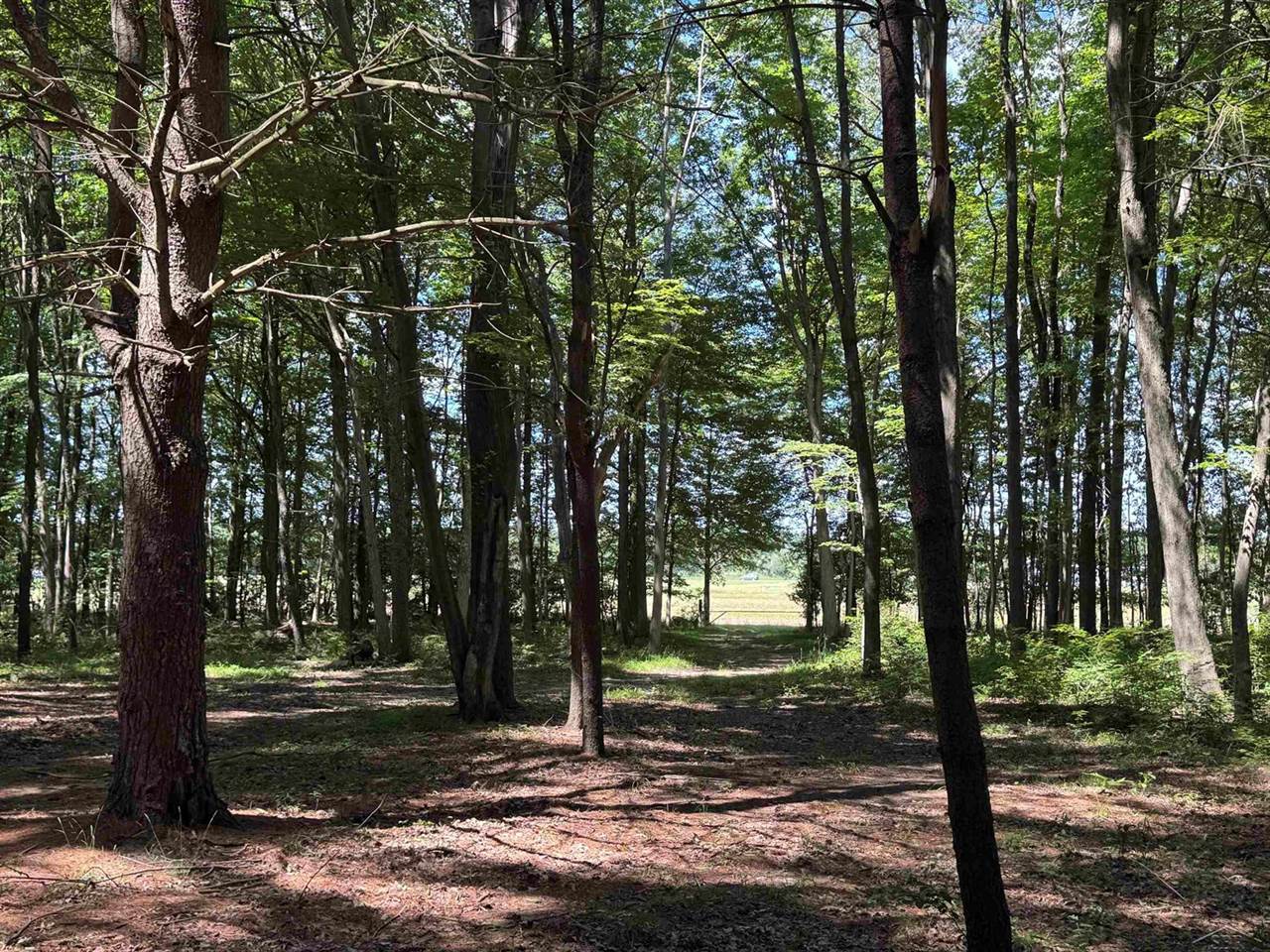 S Fenmore Road, Merrill, MI 48637