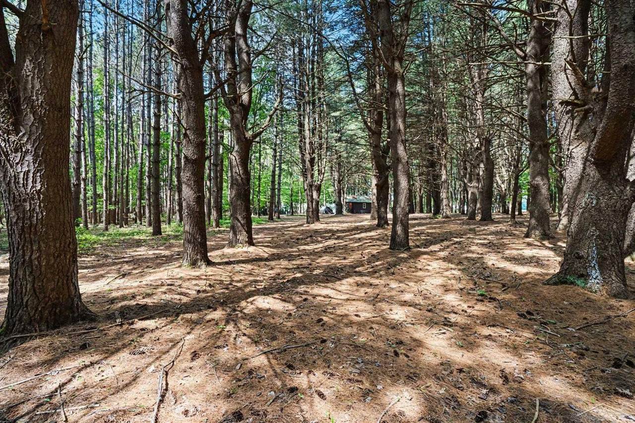S Fenmore Road, Merrill, MI 48637