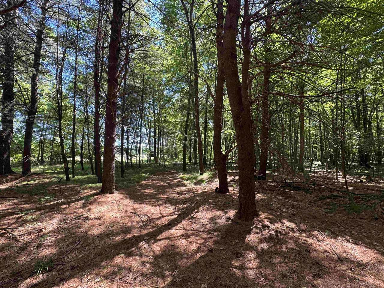 S Fenmore Road, Merrill, MI 48637