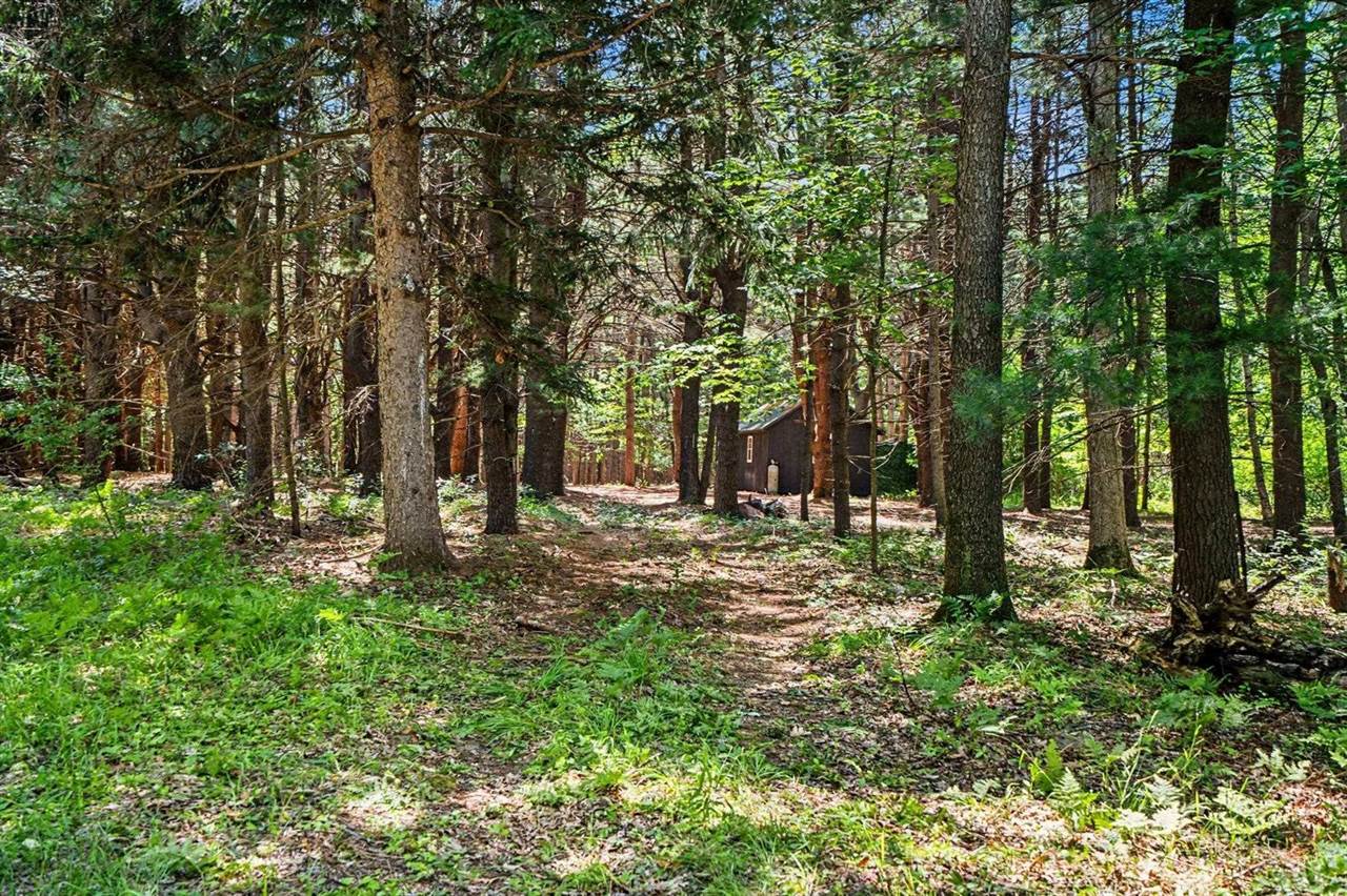 S Fenmore Road, Merrill, MI 48637