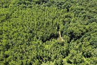 S Fenmore Road, Merrill, MI 48637