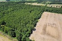 S Fenmore Road, Merrill, MI 48637