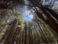 S Fenmore Road, Merrill, MI 48637