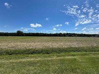 S Fenmore Road, Merrill, MI 48637