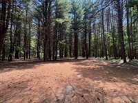 S Fenmore Road, Merrill, MI 48637