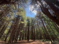 S Fenmore Road, Merrill, MI 48637