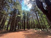 S Fenmore Road, Merrill, MI 48637