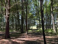 S Fenmore Road, Merrill, MI 48637