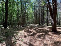 S Fenmore Road, Merrill, MI 48637