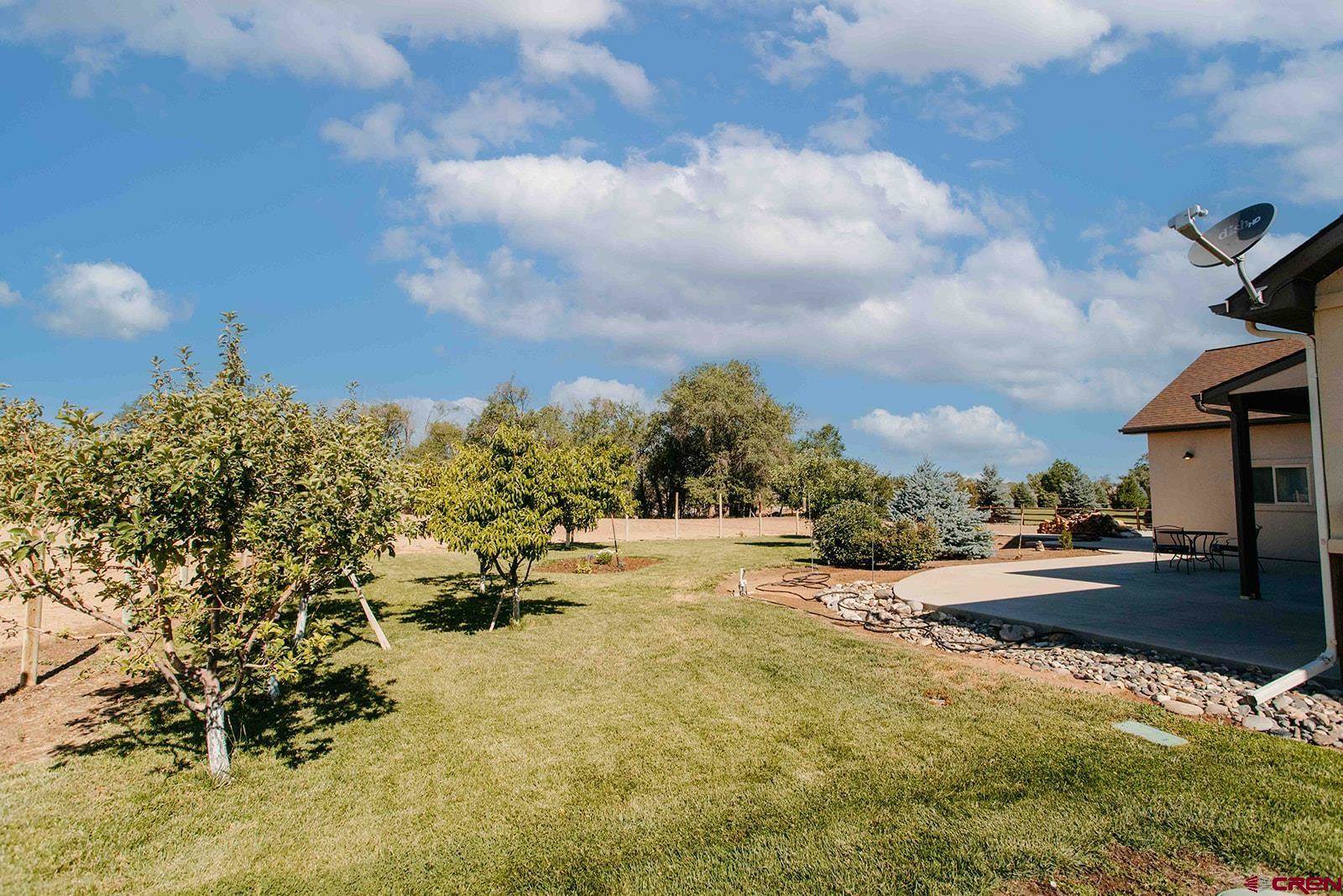 60110 Kiowa Lane, Montrose, CO 81403
