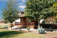 60110 Kiowa Lane, Montrose, CO 81403