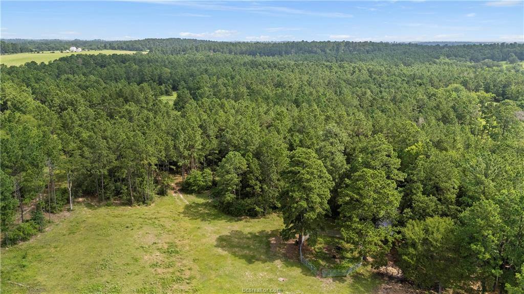 6779 County Road 215, Anderson, TX 77830