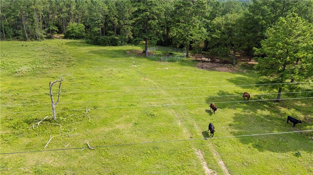 6779 County Road 215, Anderson, TX 77830