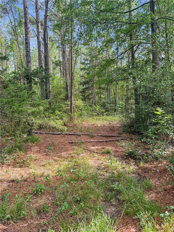 6779 County Road 215, Anderson, TX 77830