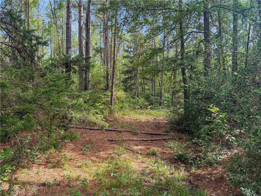 6779 County Road 215, Anderson, TX 77830