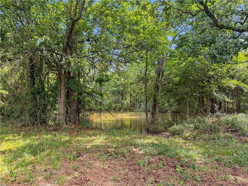6779 County Road 215, Anderson, TX 77830