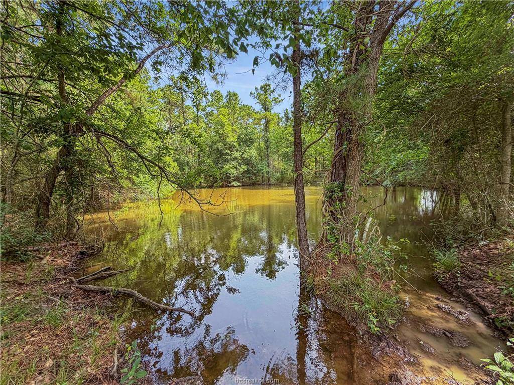 6779 County Road 215, Anderson, TX 77830
