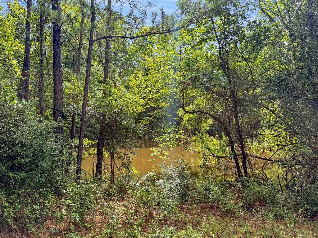6779 County Road 215, Anderson, TX 77830