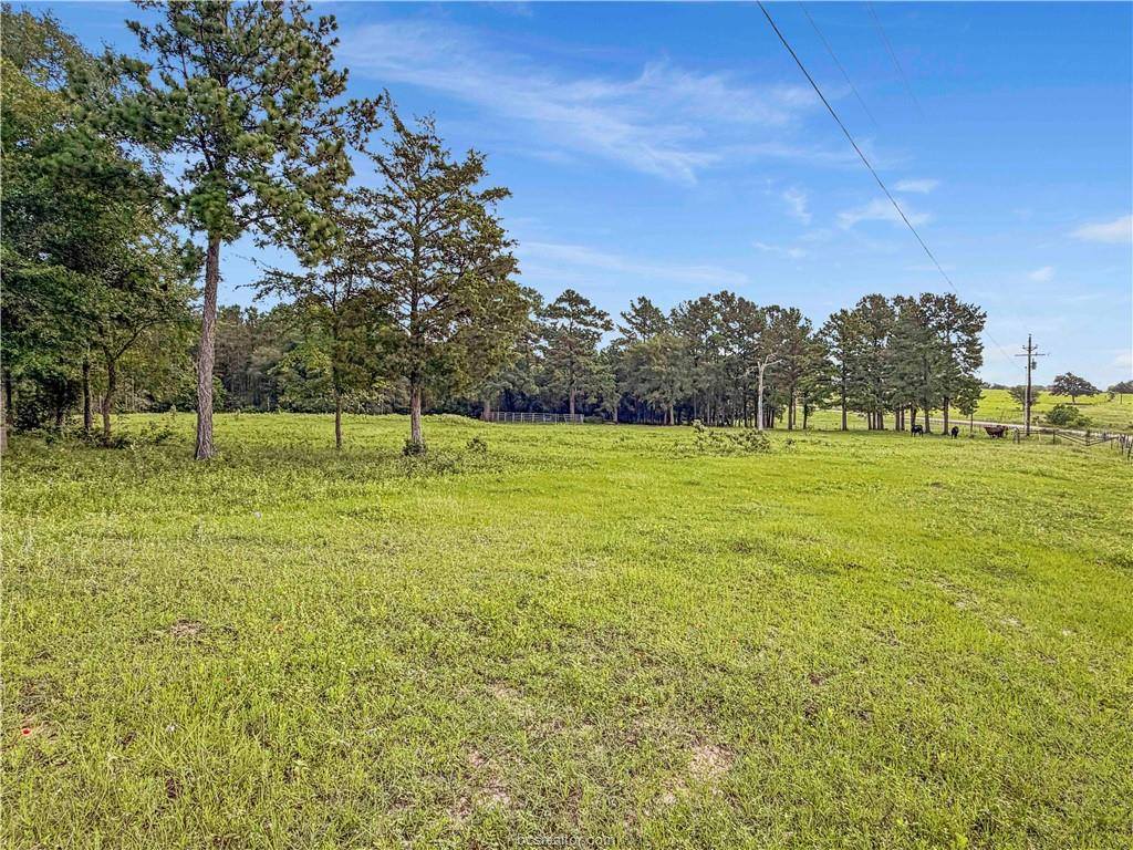 6779 County Road 215, Anderson, TX 77830