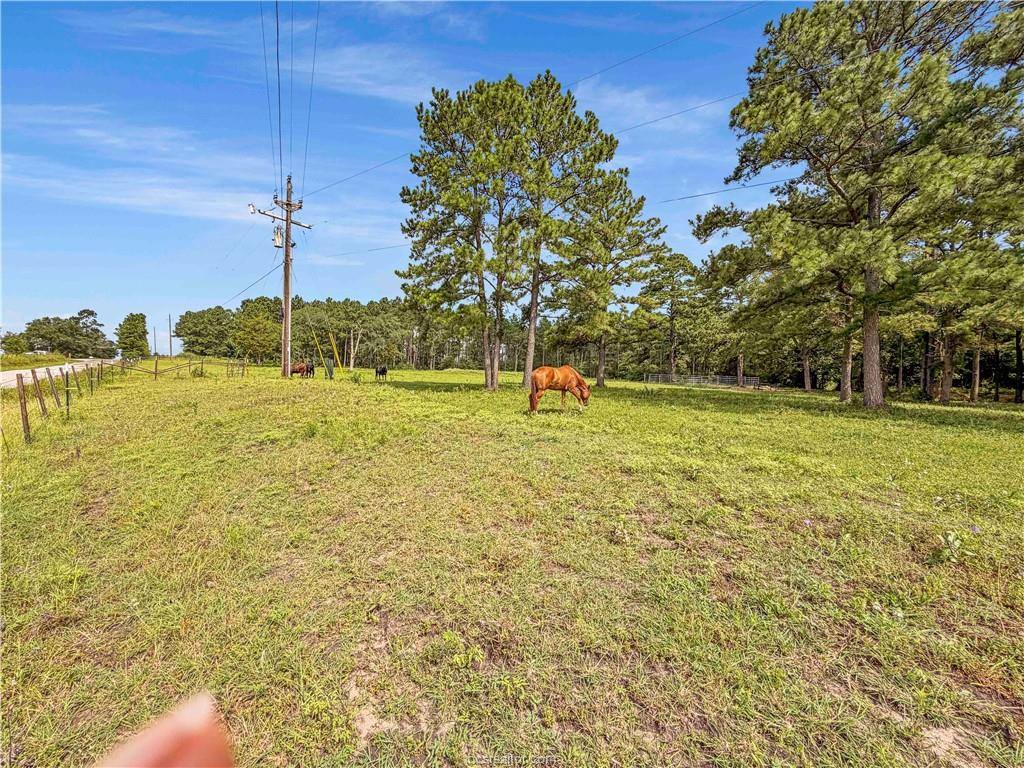 6779 County Road 215, Anderson, TX 77830