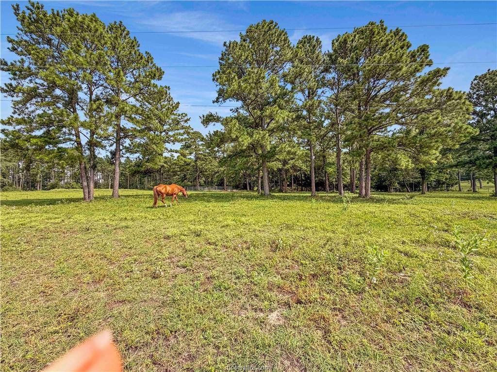 6779 County Road 215, Anderson, TX 77830