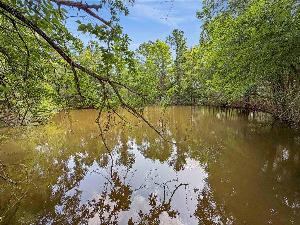 6779 County Road 215, Anderson, TX 77830