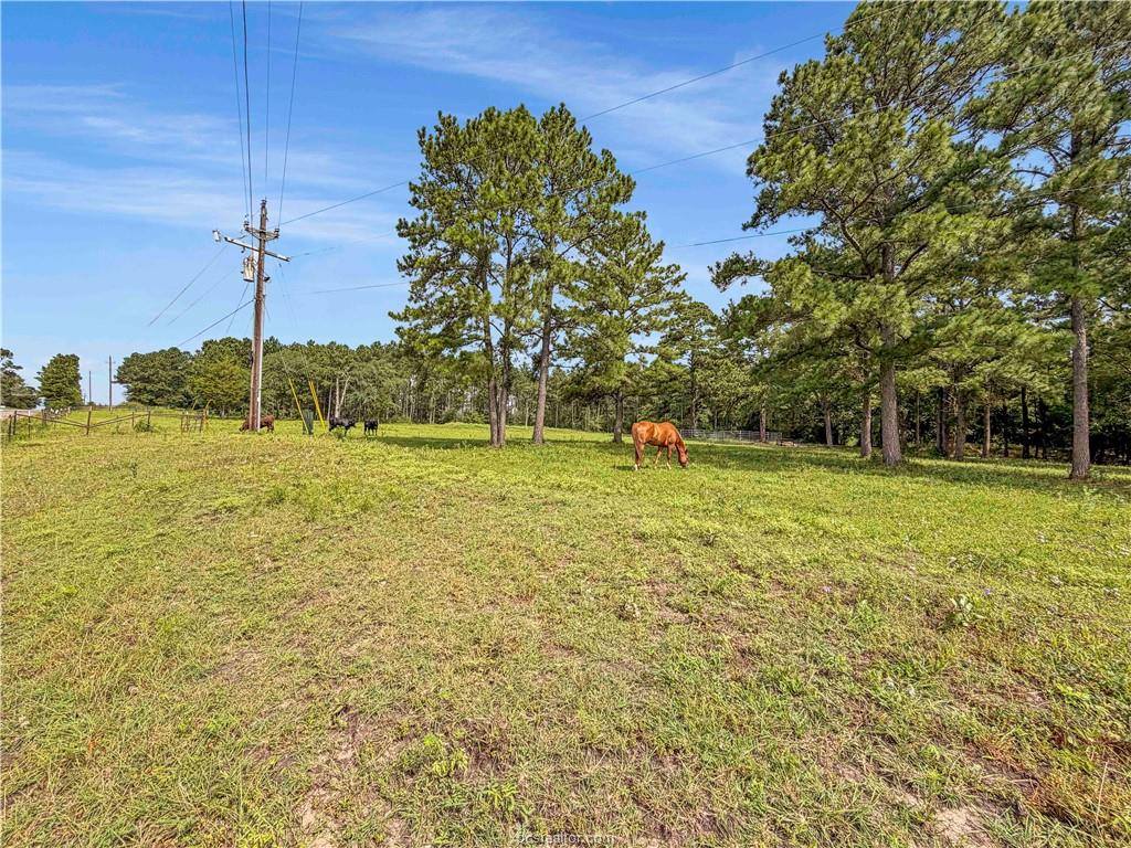 6779 County Road 215, Anderson, TX 77830