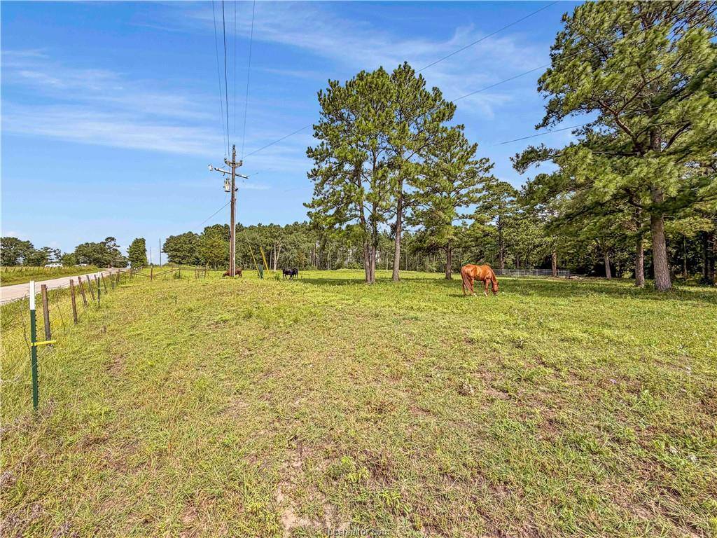 6779 County Road 215, Anderson, TX 77830