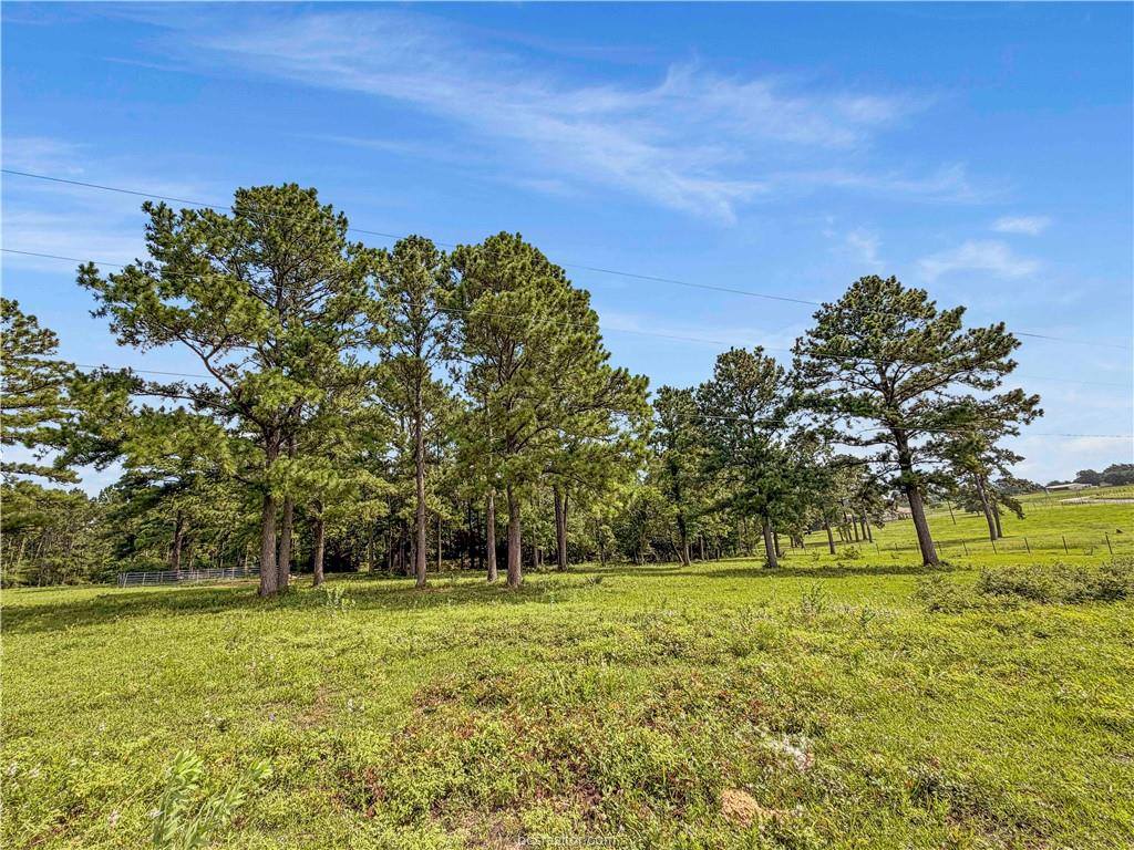6779 County Road 215, Anderson, TX 77830