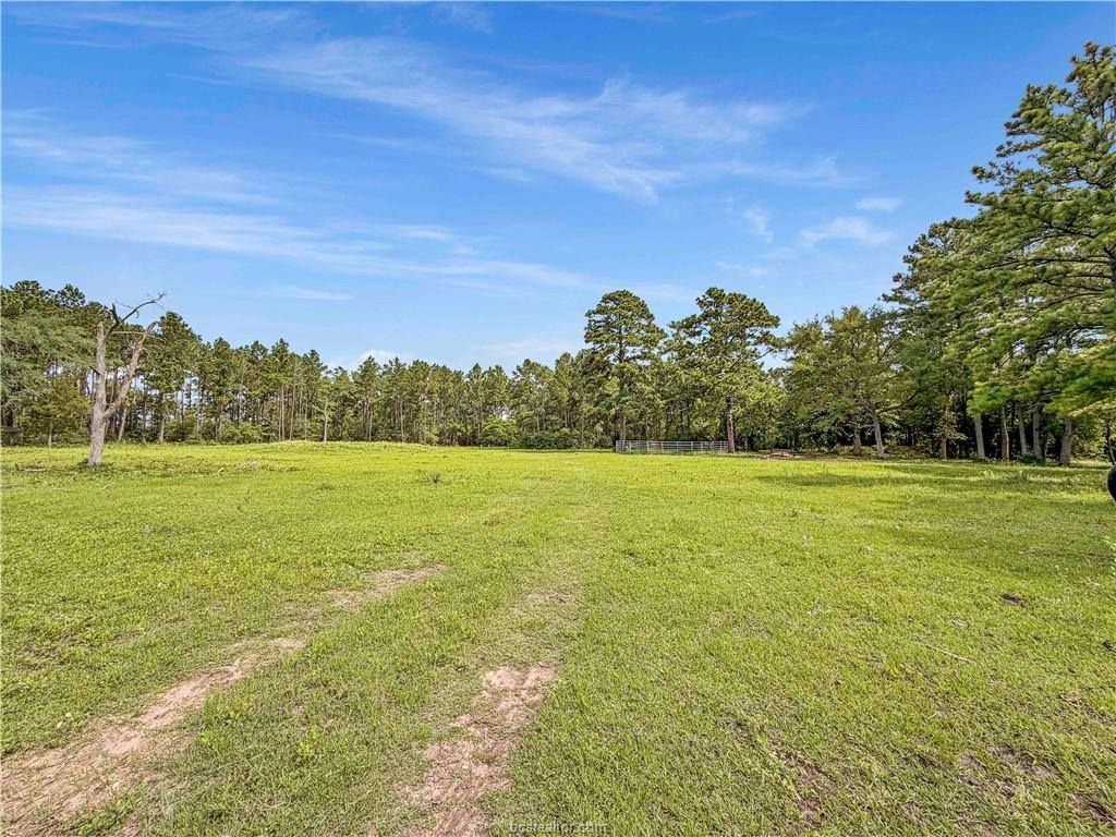6779 County Road 215, Anderson, TX 77830