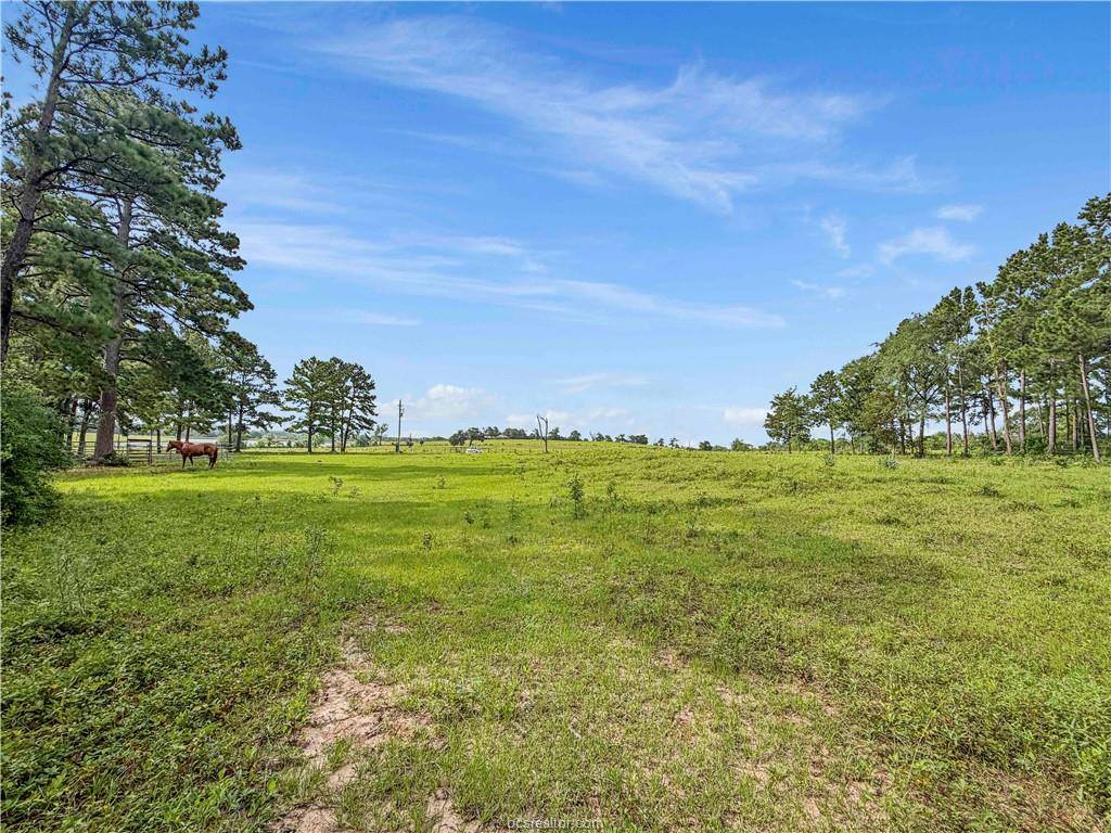 6779 County Road 215, Anderson, TX 77830